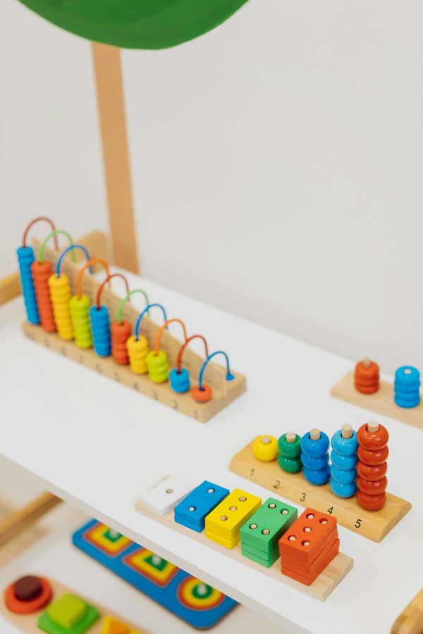 Discovering the montessori toy: a guide to hands-on learning and development