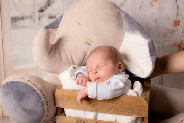 Dumbo plush: soft, cuddly, and perfect for all ages